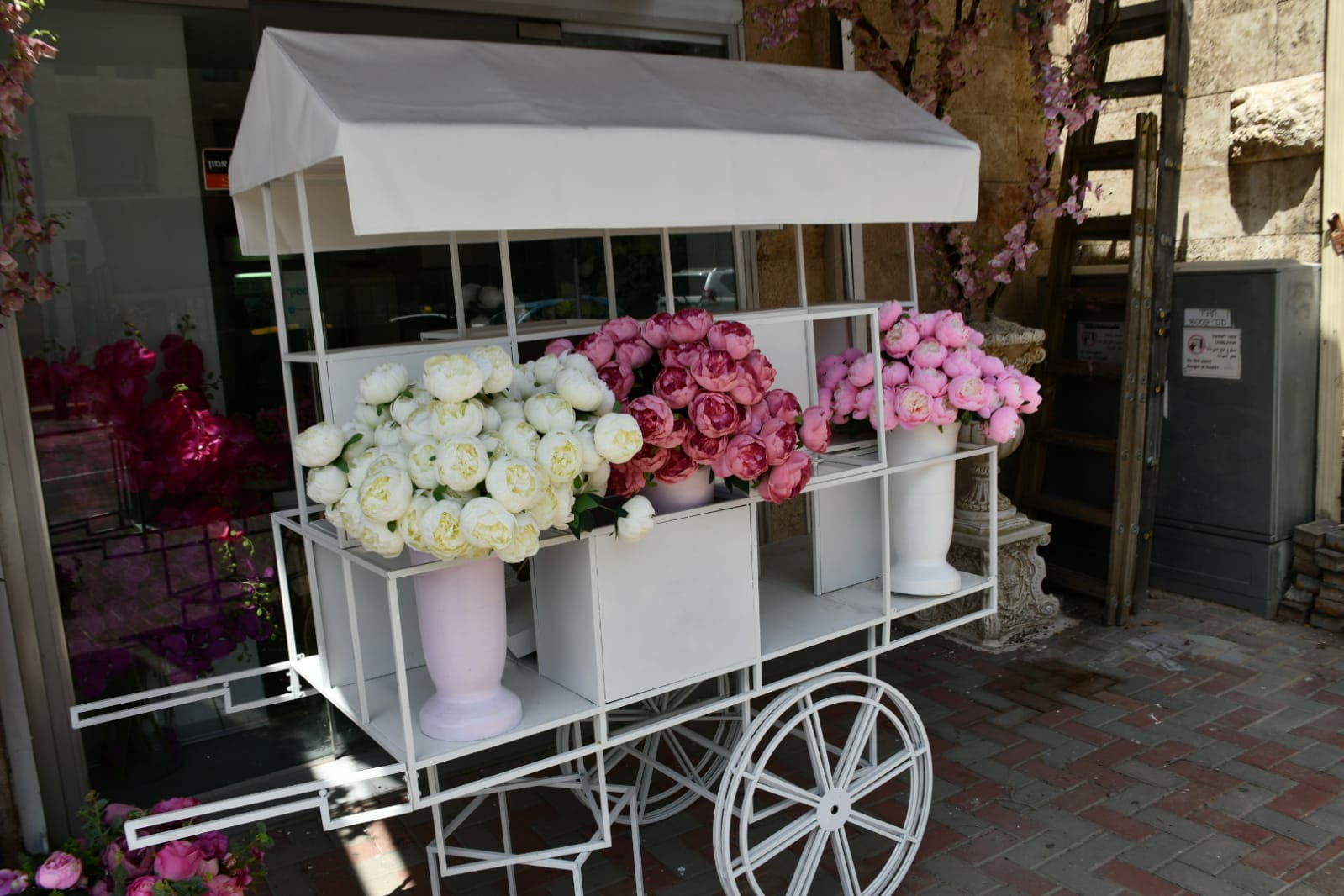 WhatsApp Image 2020-05-22 at 4.35.57 PM.jpeg.jpeg